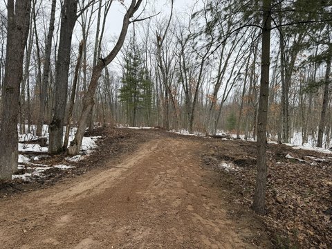 Wooded Land Near Tippy Dam
