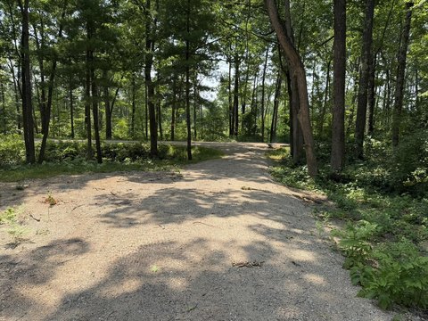 Wooded Hunting Land with Road Frontage