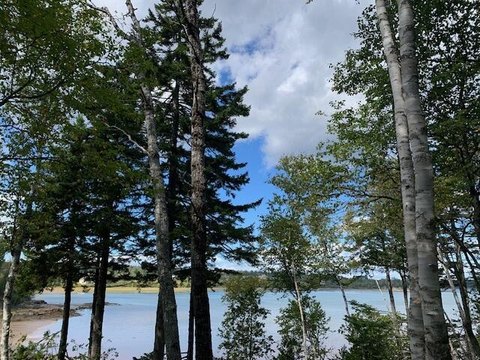 Land, Machiasport, ME
