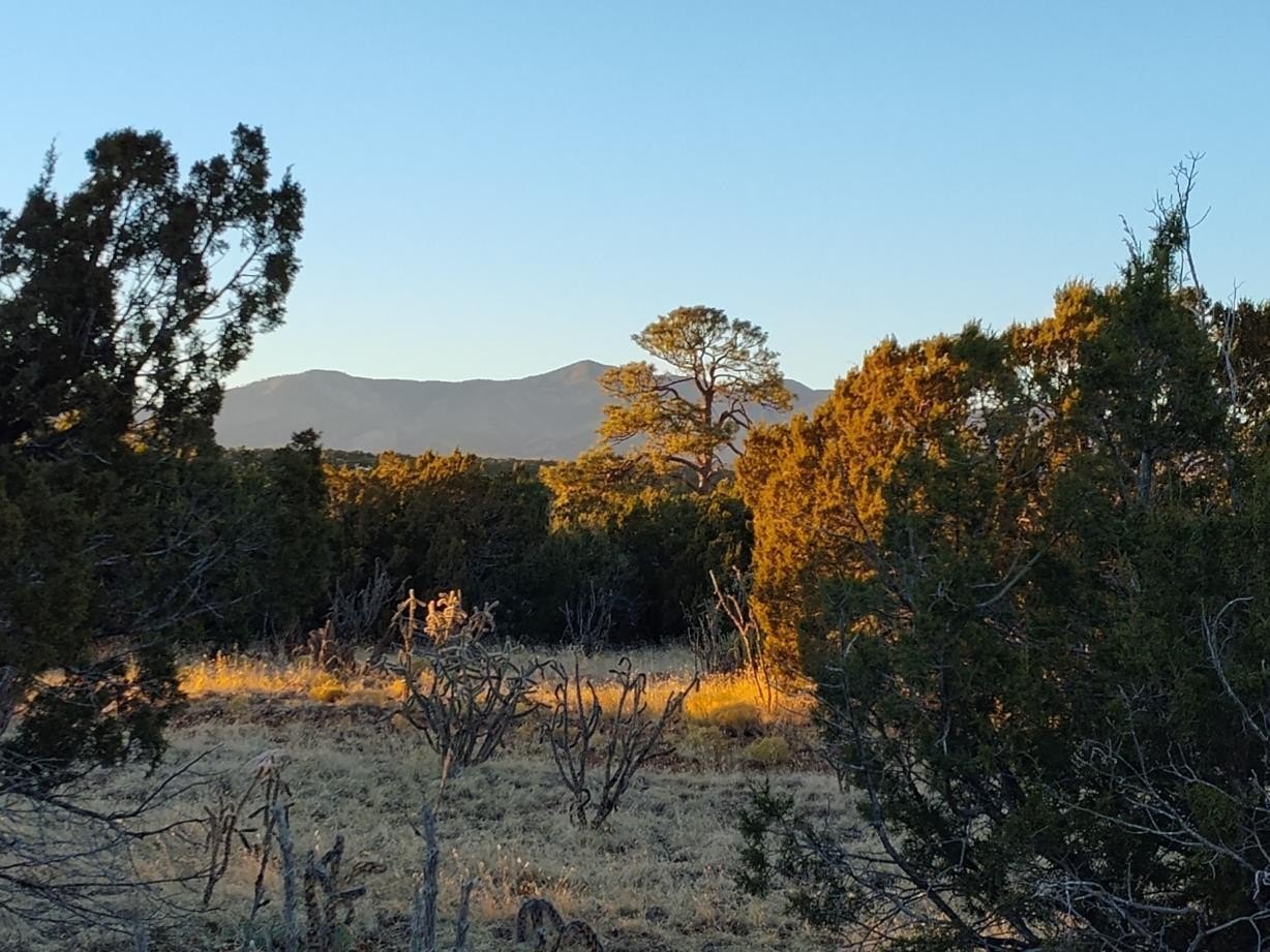 Land in Mountainair, New Mexico