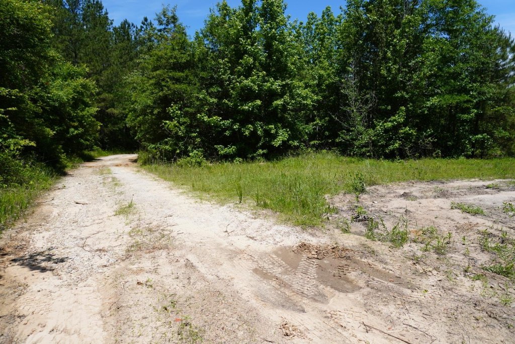 Picture 25