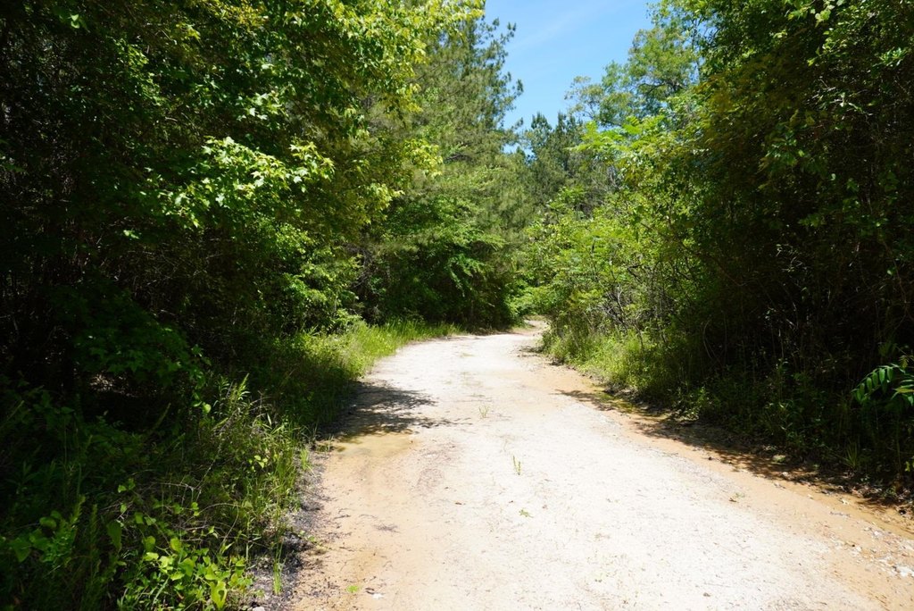 Picture 22
