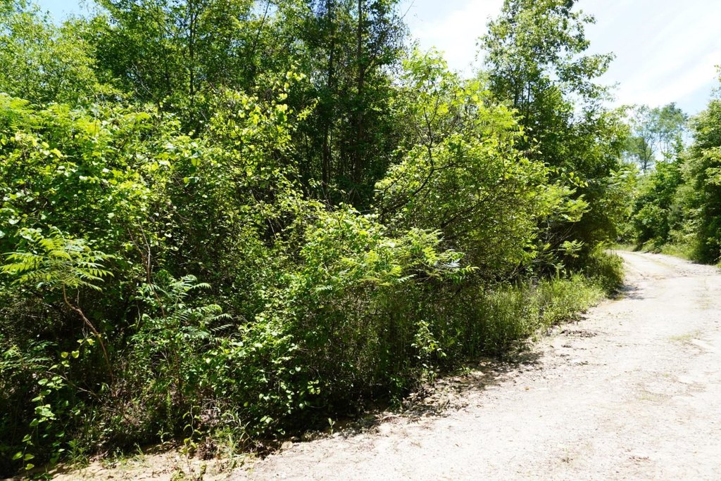 Picture 23