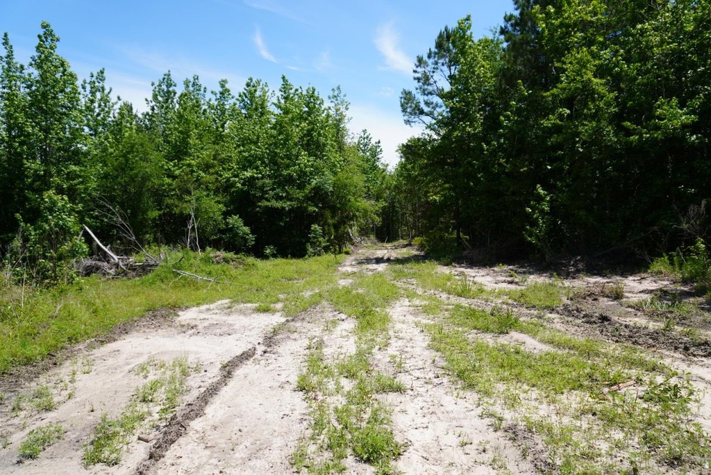 Picture 3
