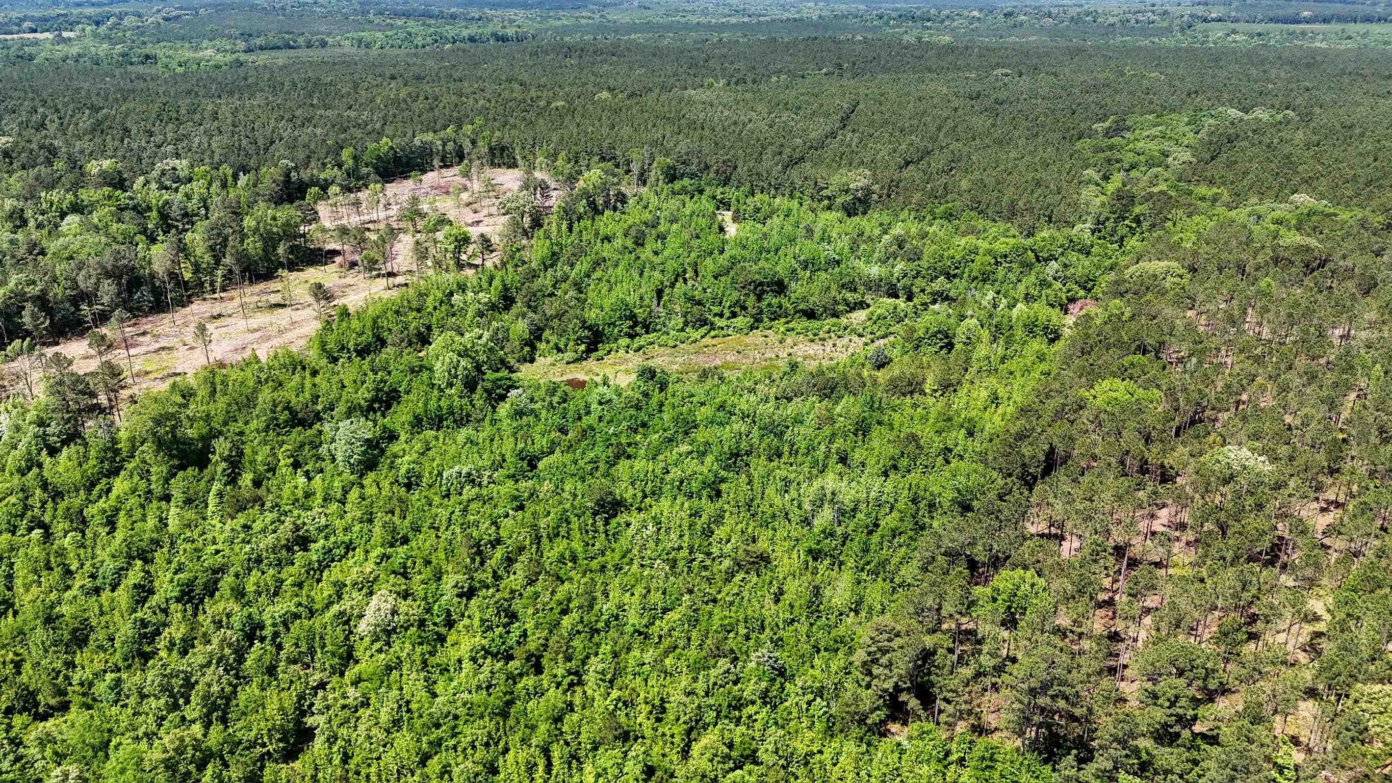 Secluded Wooded Acreage with Pond