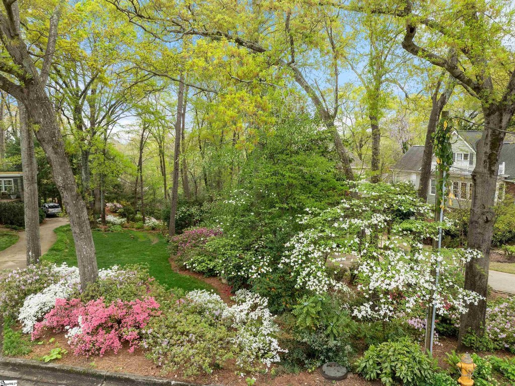 Picture 25