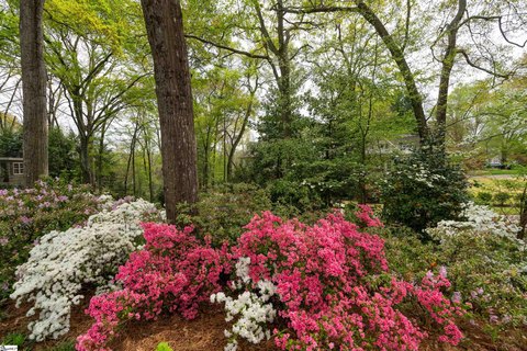 Residential Land in Prime Location