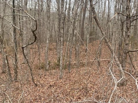 Holley Mountain Airpark Land