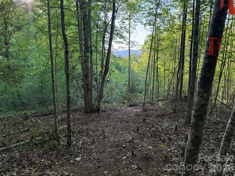 LAND - Hendersonville, NC