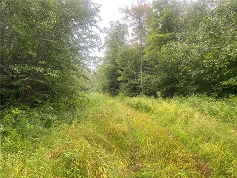 Catawba, WI Forestland Acreage