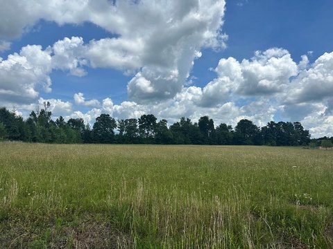 LAND - Rickman, TN