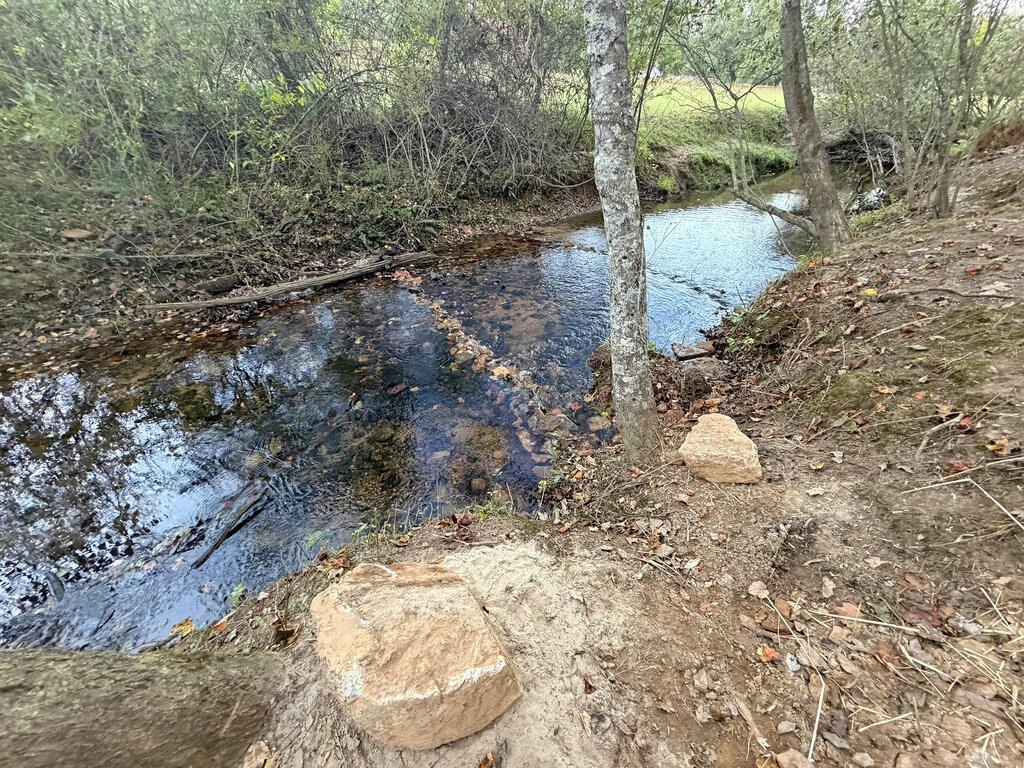 Picture 42