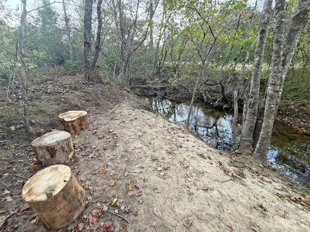 Picture 43