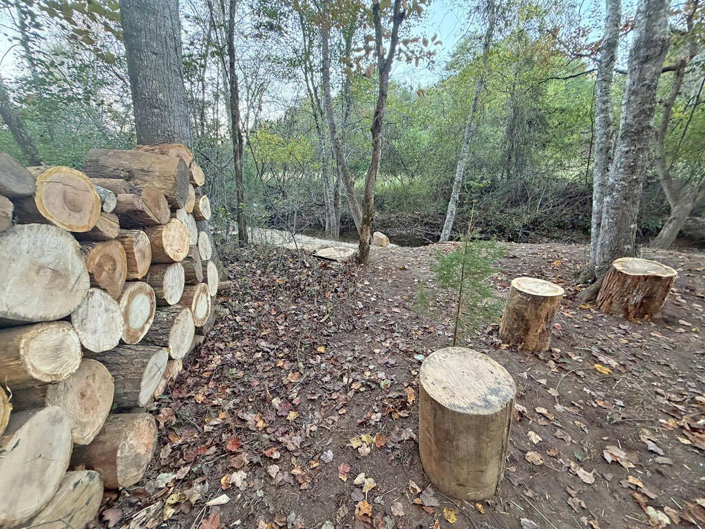 Picture 28