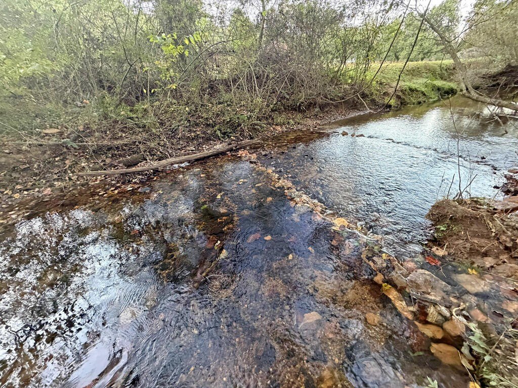 Picture 34