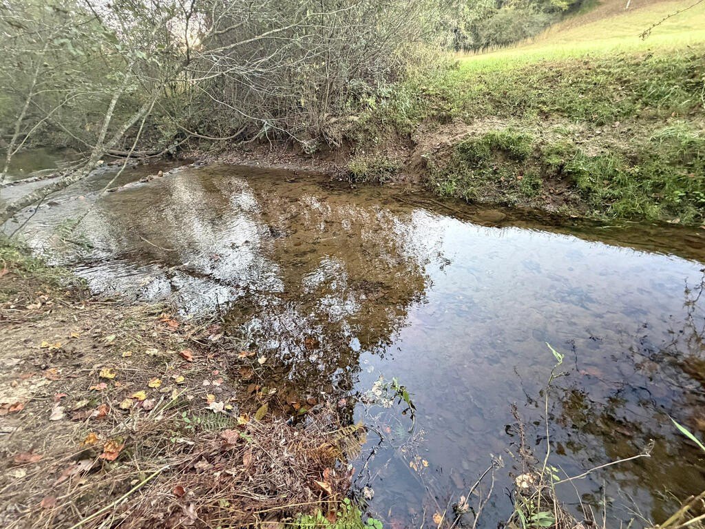 Picture 44