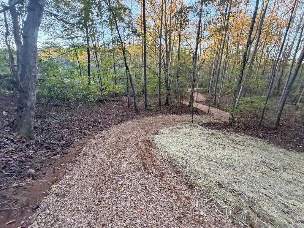 Picture 24