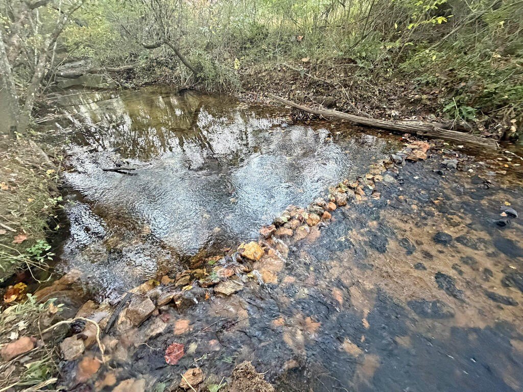 Picture 31