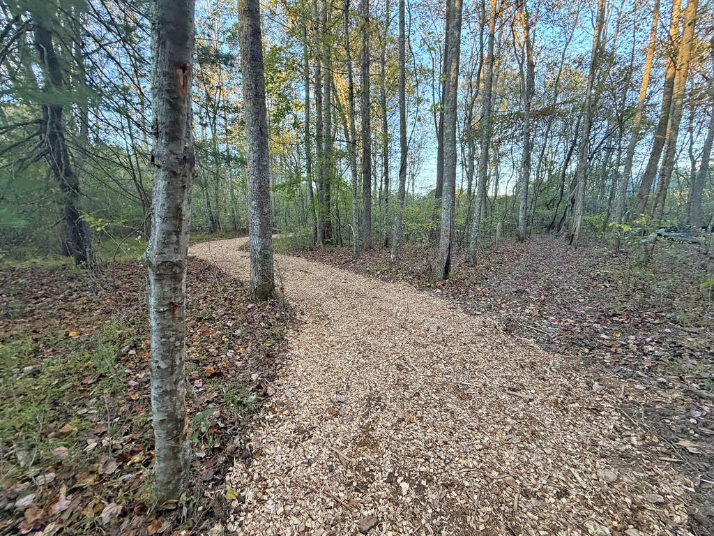 Picture 29