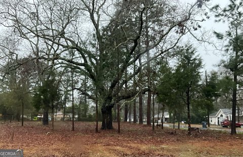 LAND - Cochran, GA