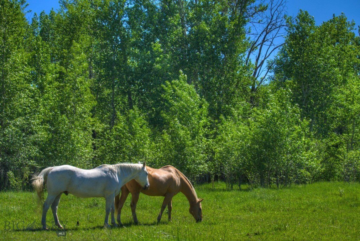 40 Acres Near Bozeman