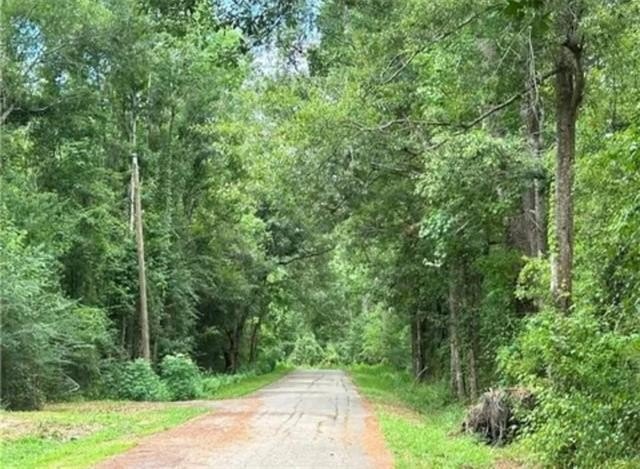 Picture 8