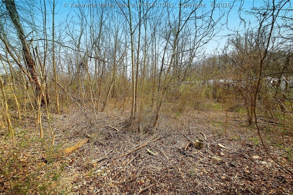 Picture 13