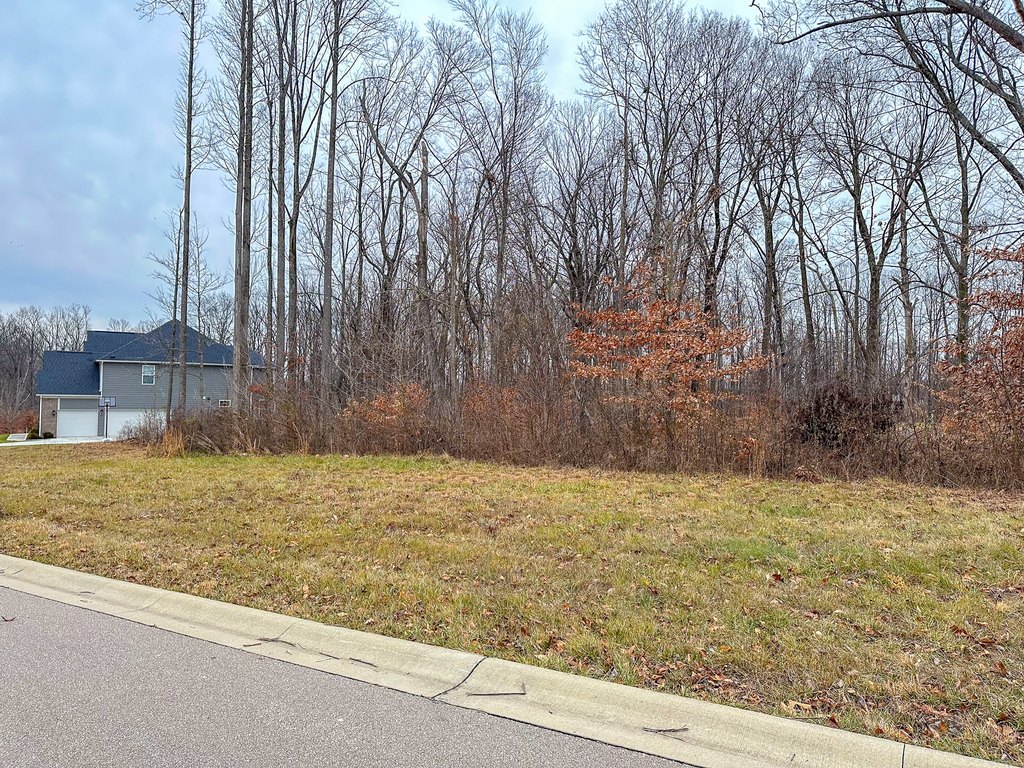Picture 3