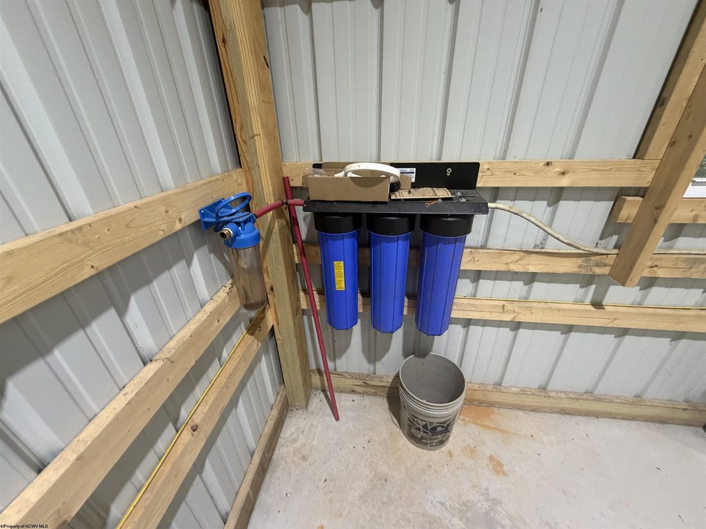 Picture 15