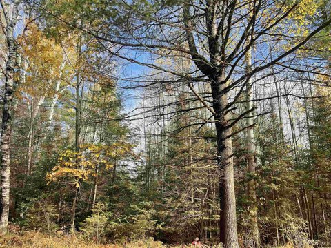 VACANT LAND, Gwinn, MI