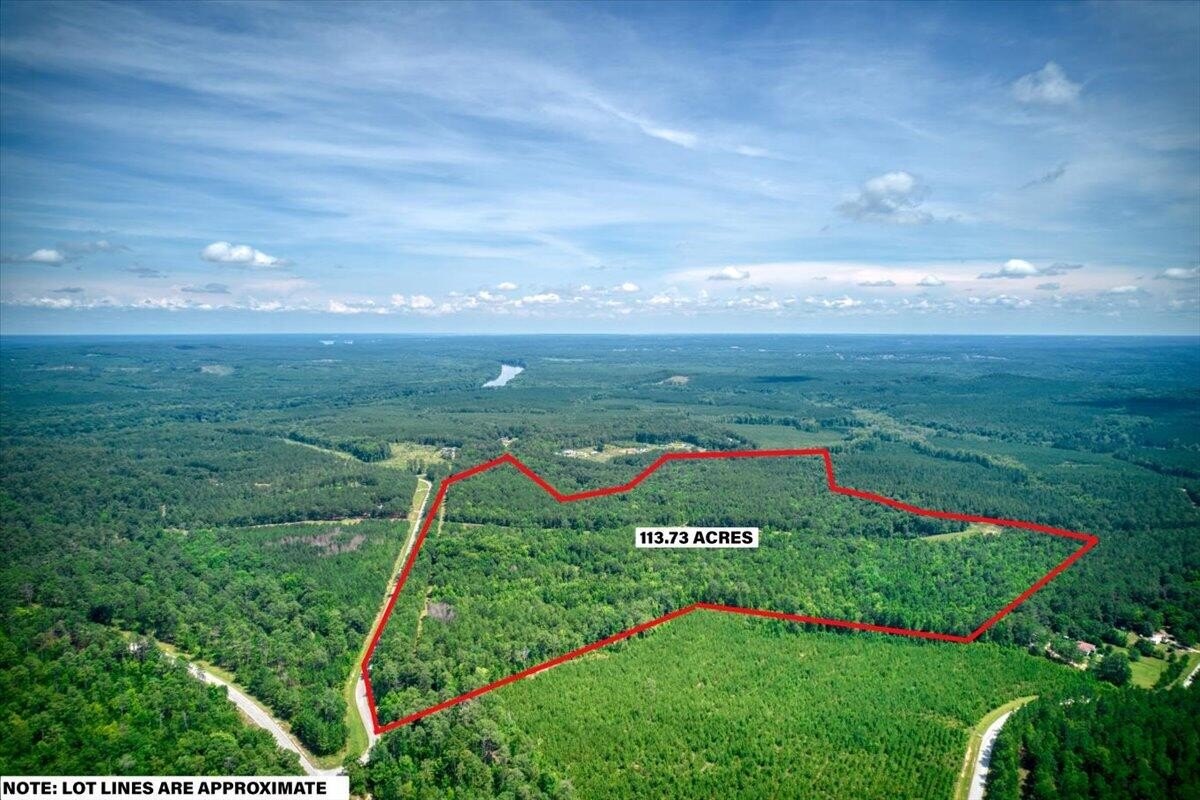 Appling, GA 113-Acre Land Parcel