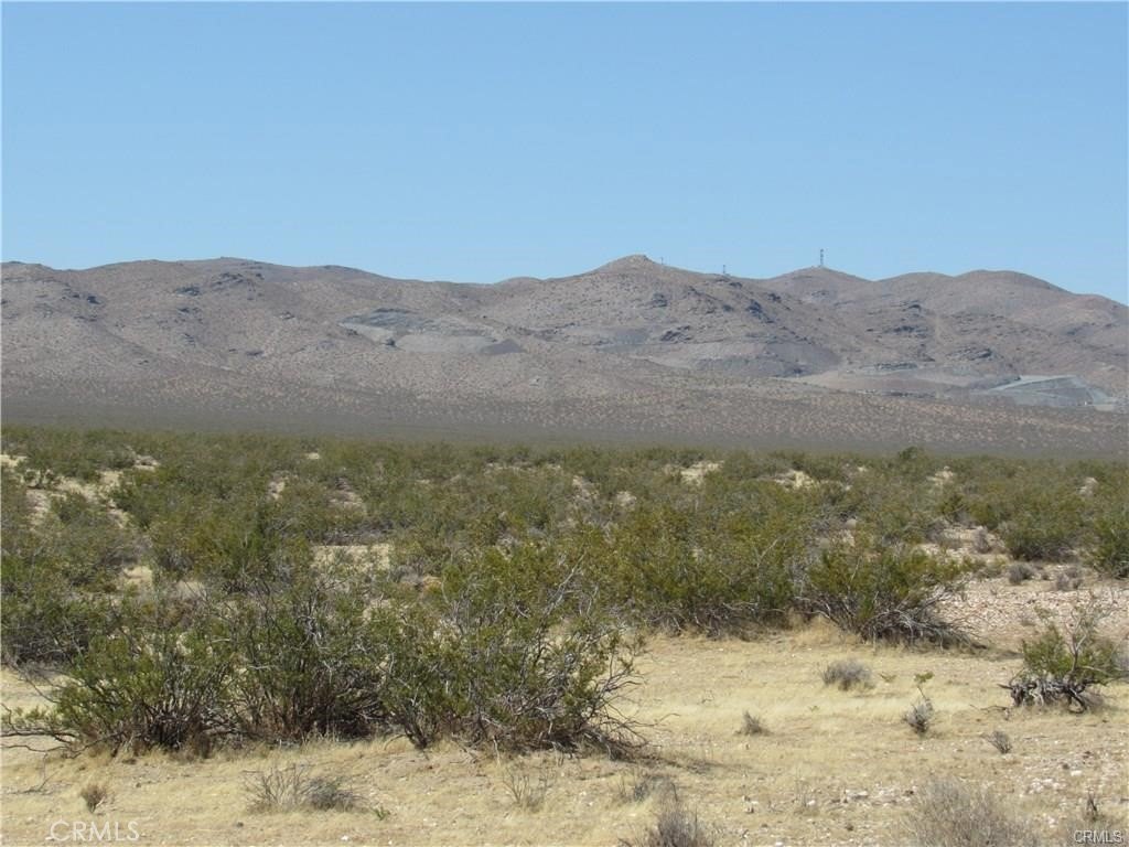 Picture 2