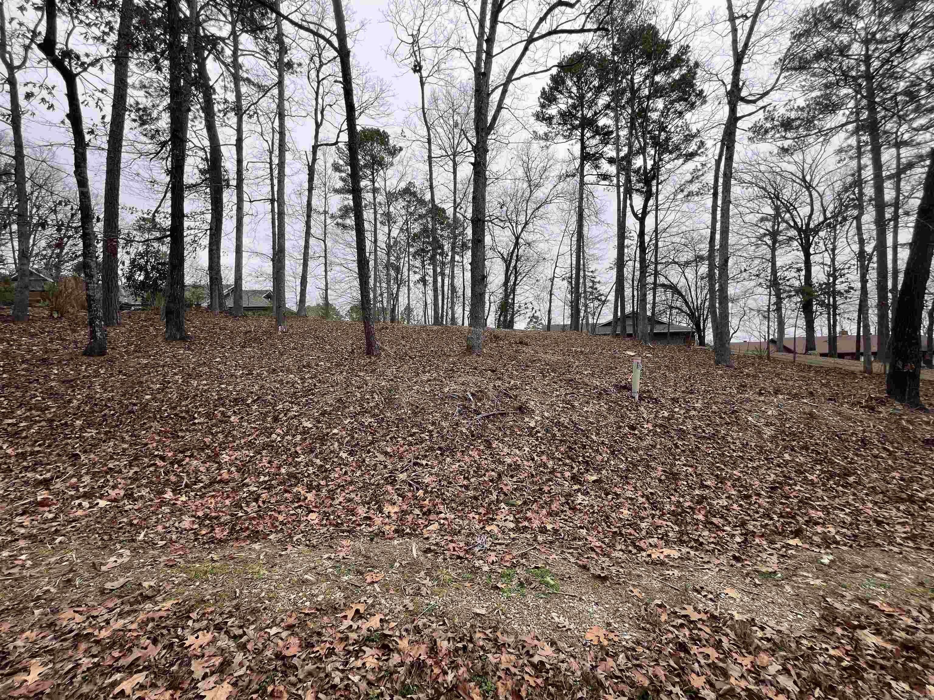 Waterfront Lot on Lake Coronado