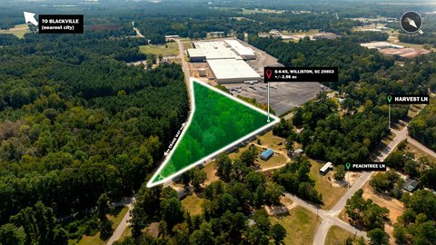 Land, Williston, SC