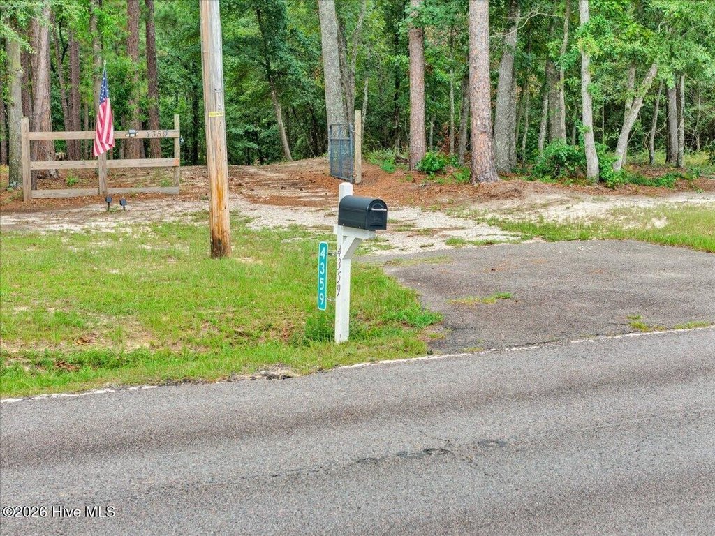 Picture 2