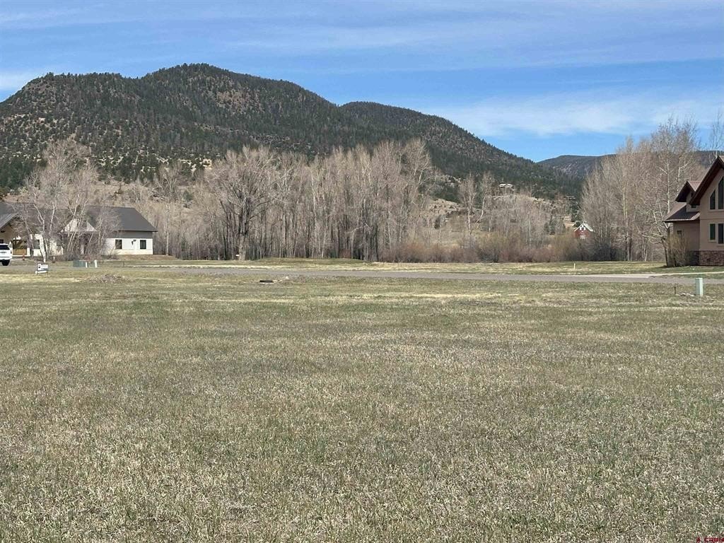 Picture 8