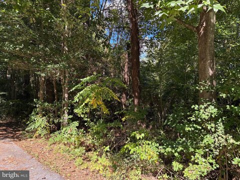 Land Near Mill Point Shores