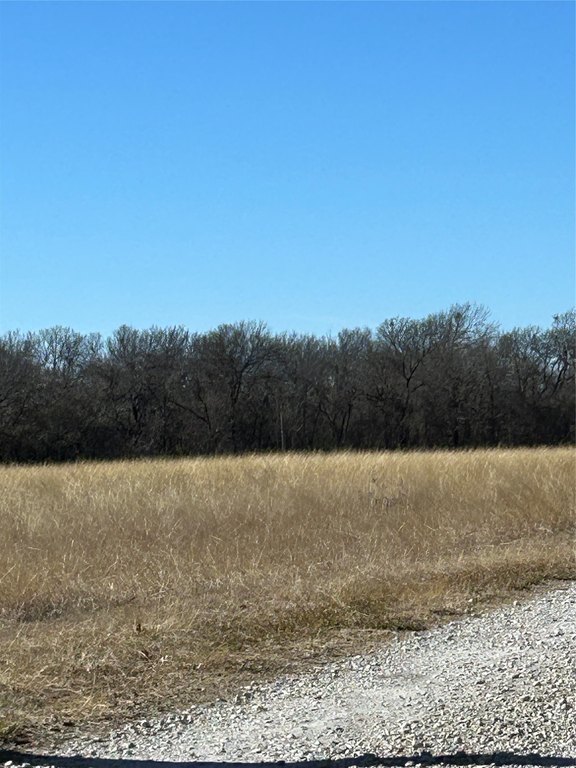 Picture 4