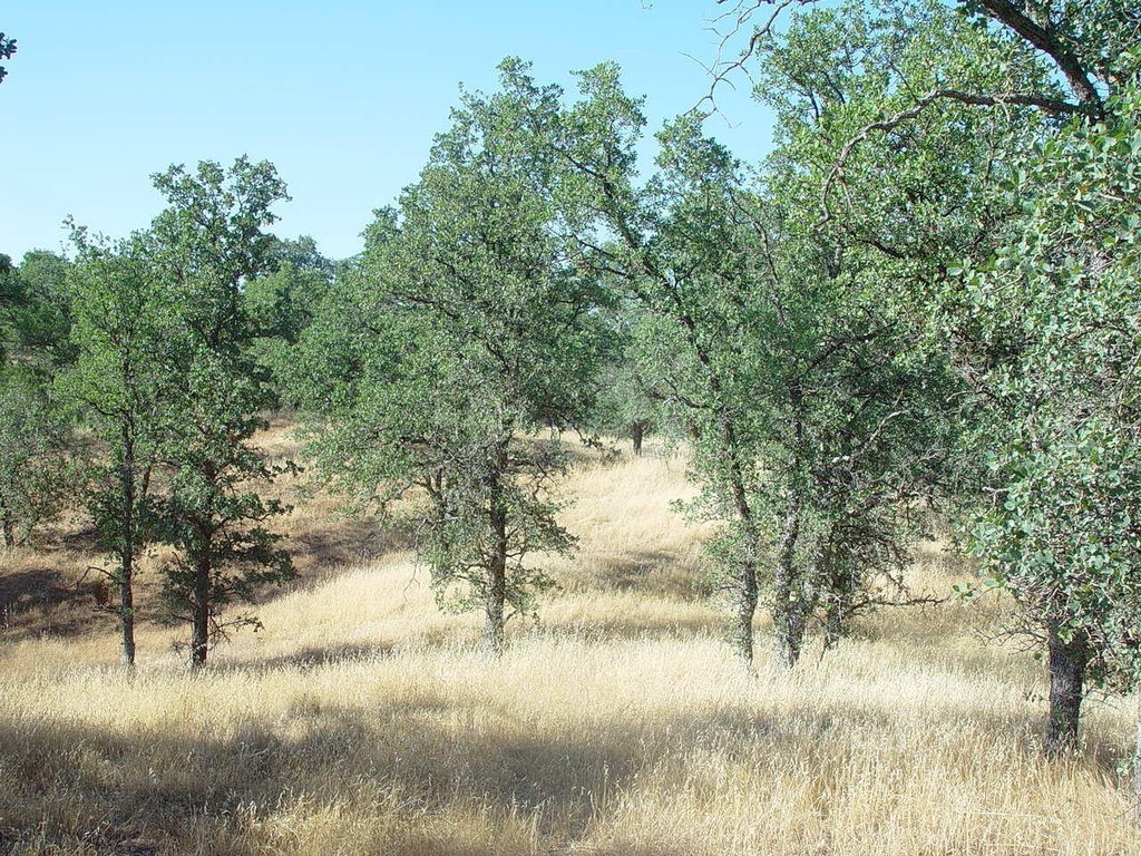 Picture 19