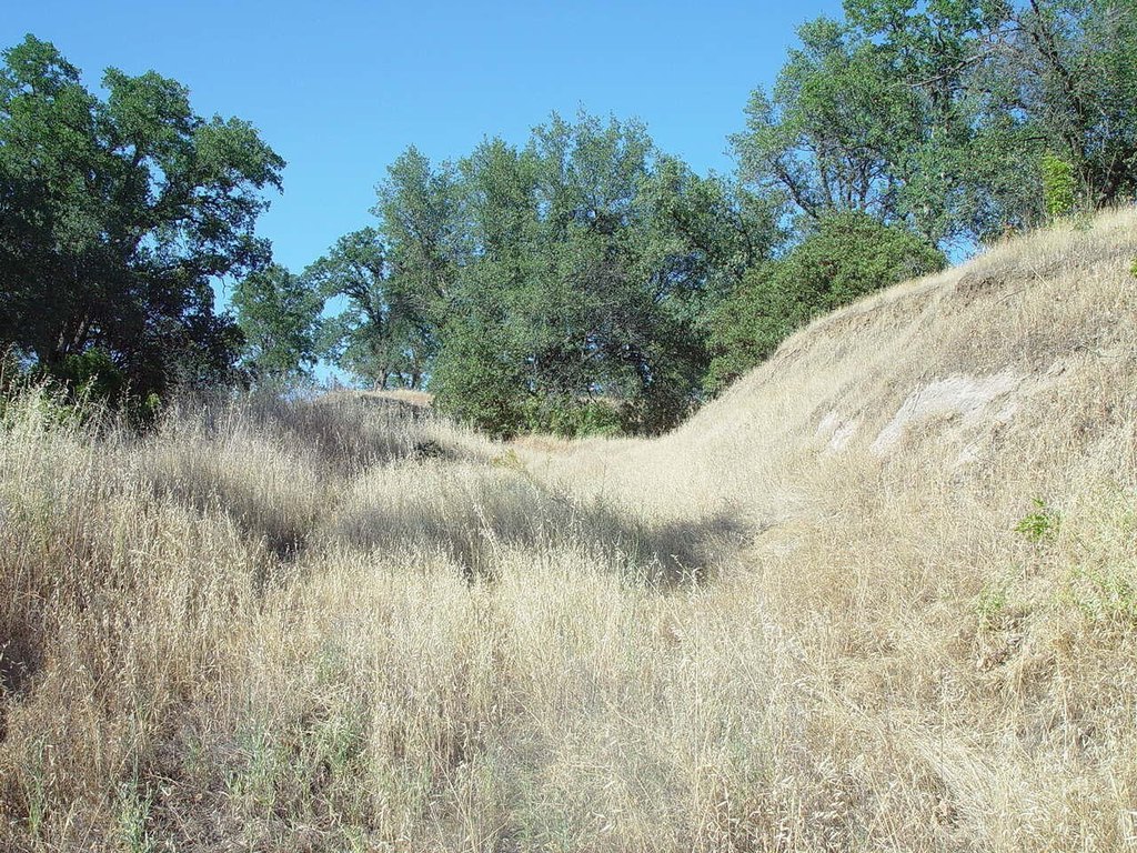 Picture 24