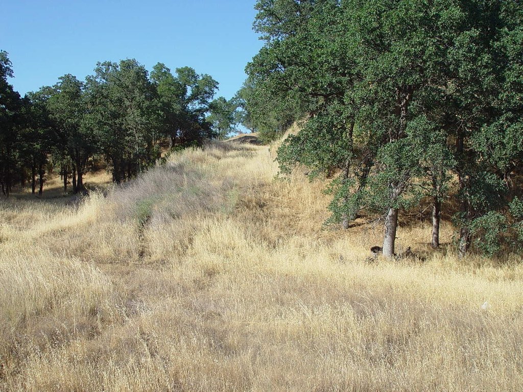 Picture 26
