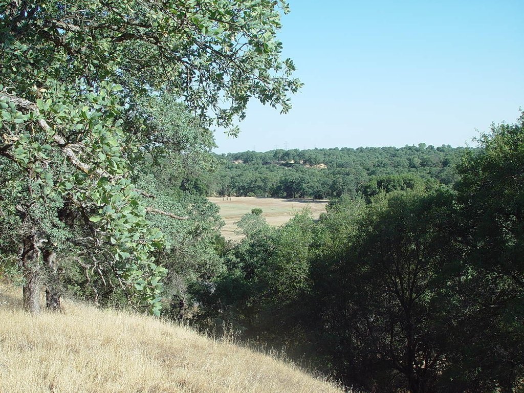 Picture 17