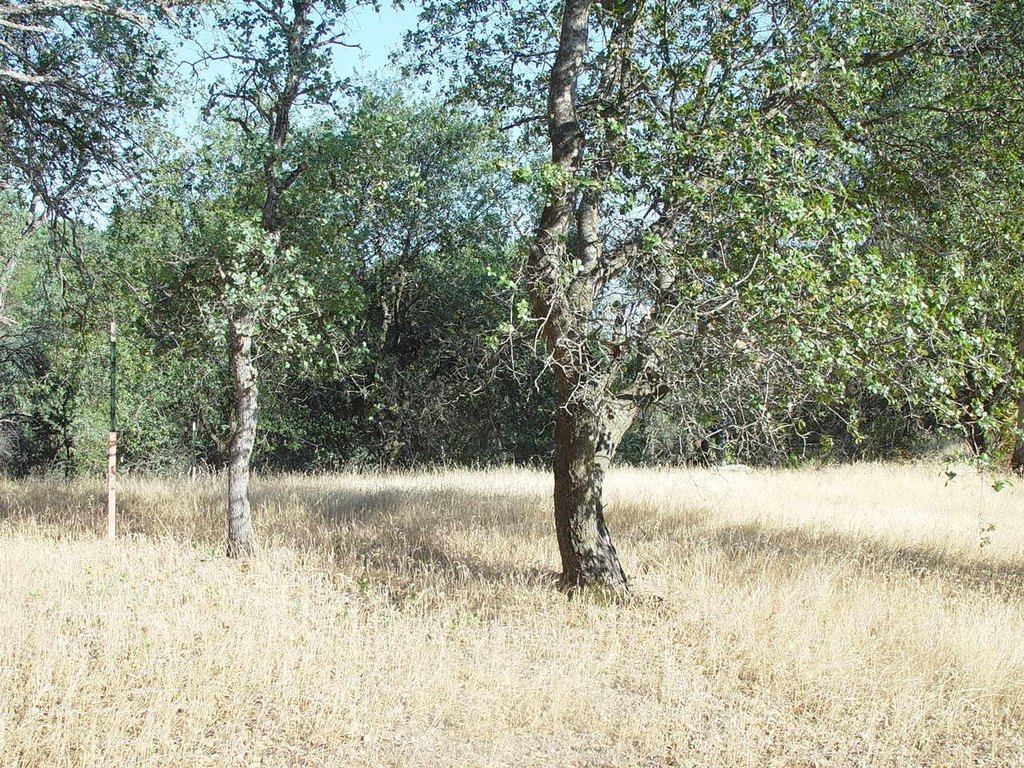 Picture 13