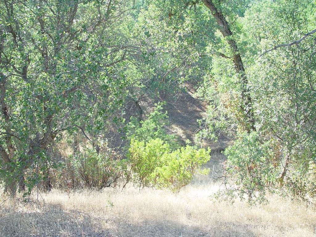 Picture 6