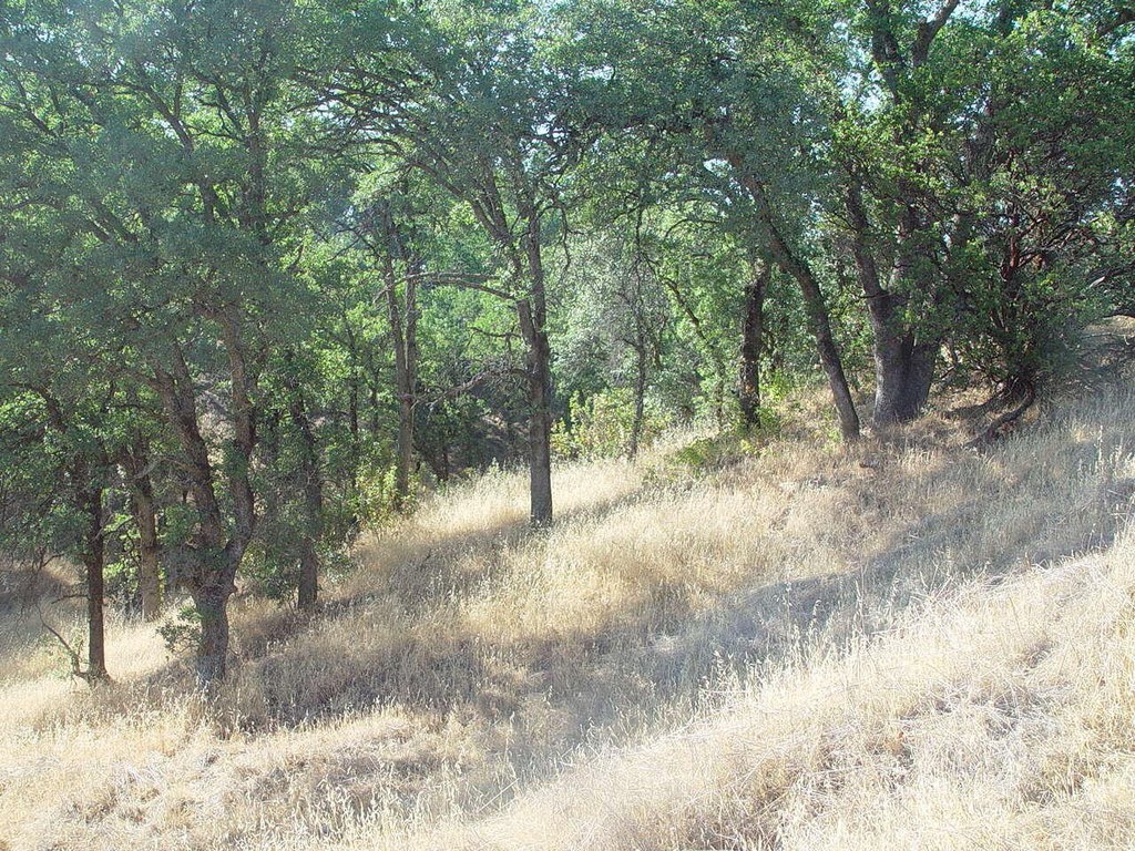 Picture 23