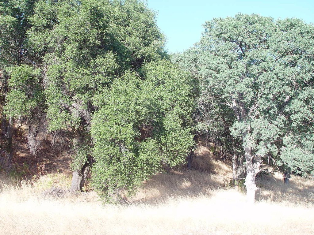 Picture 28