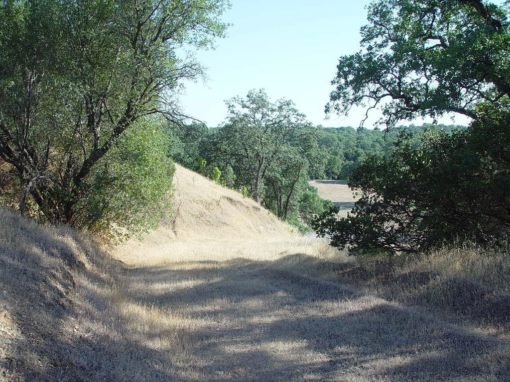 Picture 7