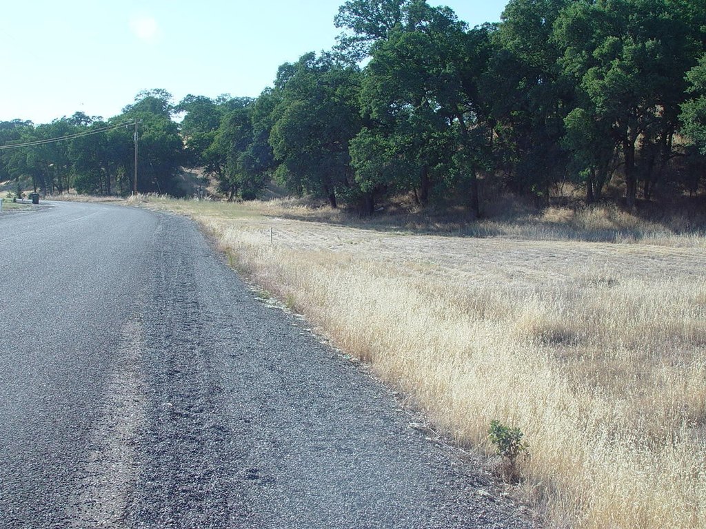 Picture 25