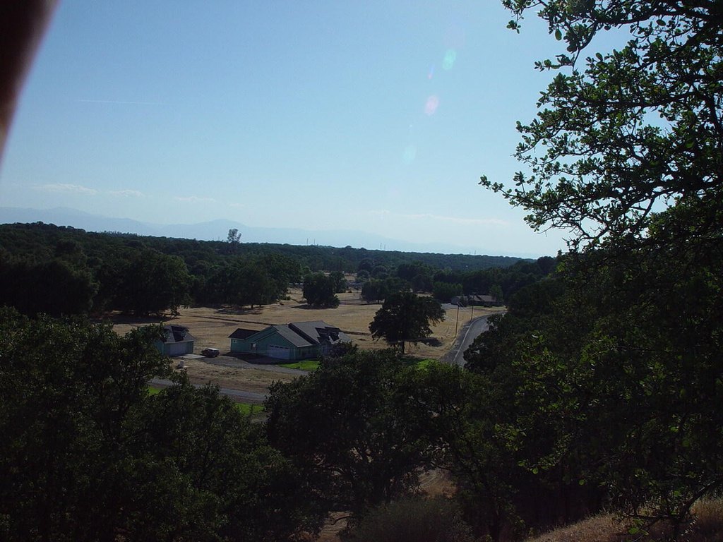 Picture 16