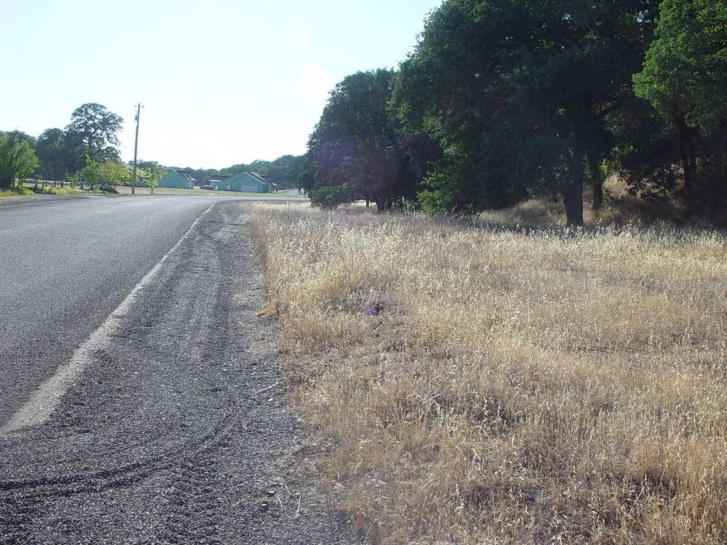 Picture 31